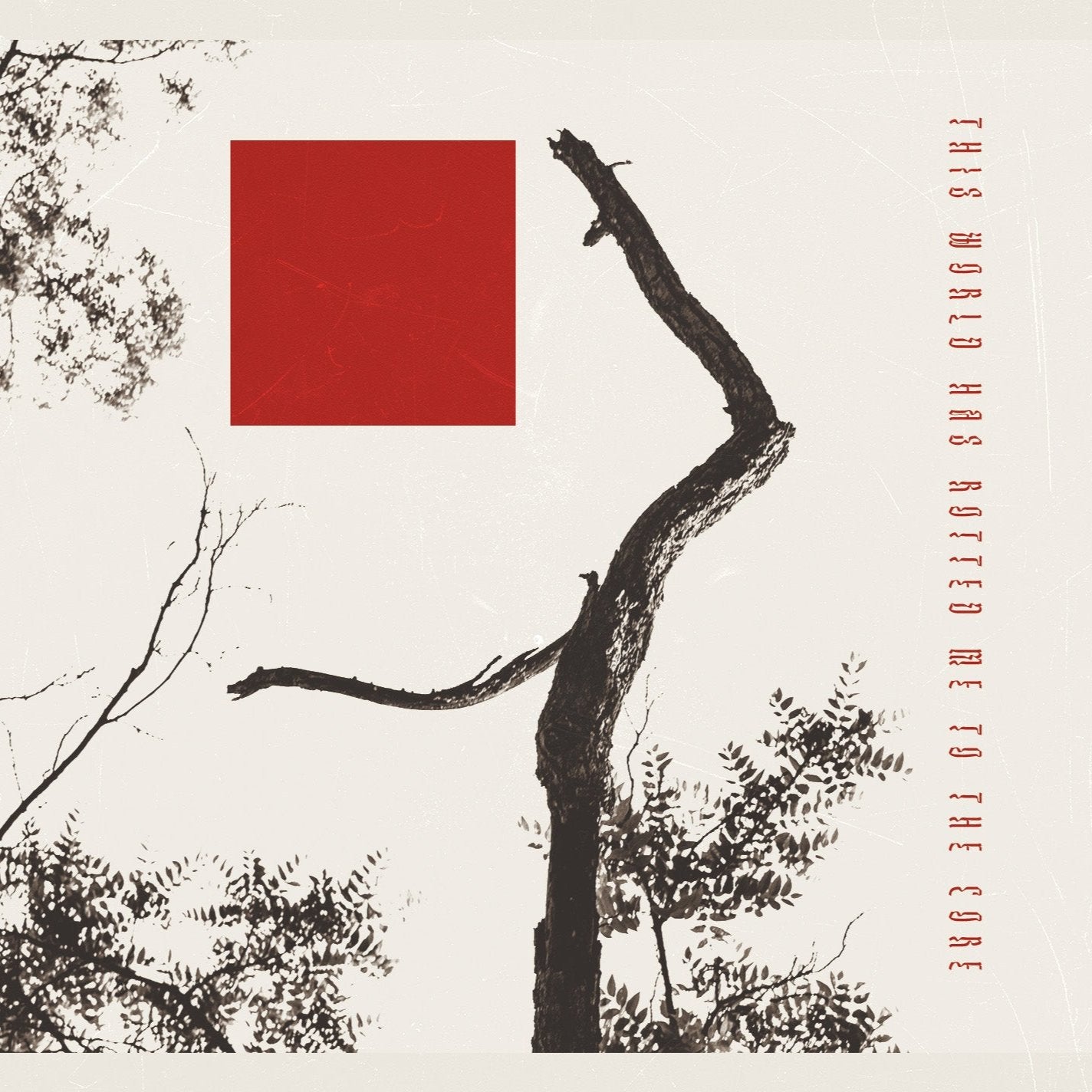 cognitive dissonance