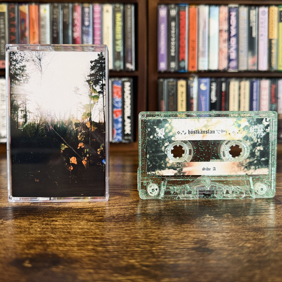 ✧˖° ༘ ɧöstkänslaɳ𓇢𓆸 ݁₊ ⊹ ˖°.