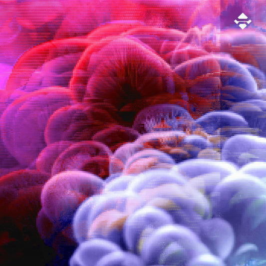 M y c e n a c e a e